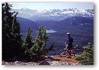 Mt Washington Strathcona Provincial Park mountain biking trails