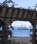 View of BC Ferry from our Comox Courtney B and B