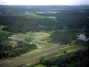 farm in Black Creek