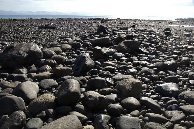 rocks on the beachl