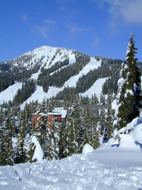 chalets at Mt. Washington Village